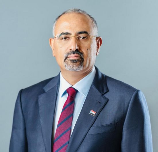 الرئيس الزُبيدي يهنئ بوتين بالذكرى الـ80 لعيد النصر
