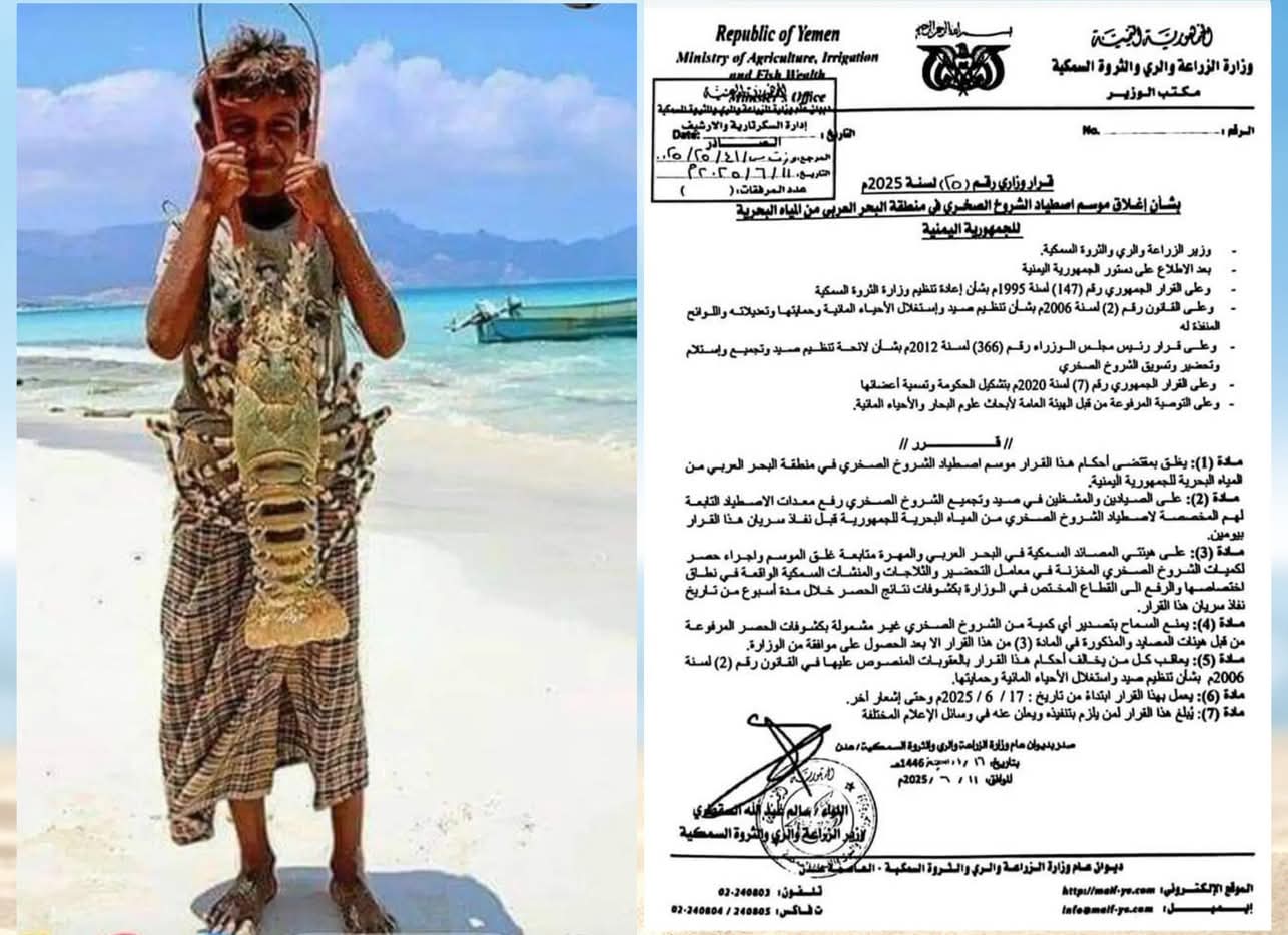 الوزير السقطري يصدر قرارا وزارياً بشأن إغلاق موسم اصطياد الشروخ الصخـري